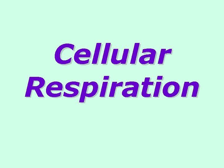 Cellular Respiration 