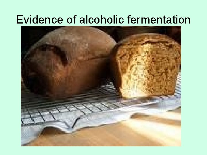 Evidence of alcoholic fermentation 