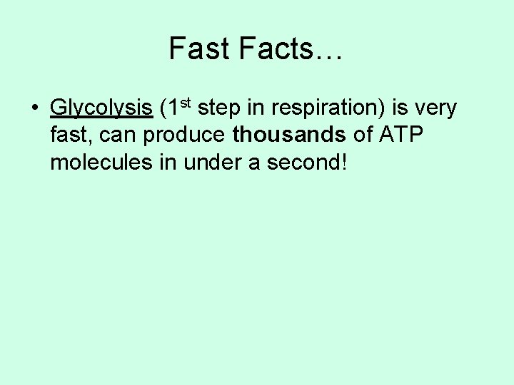 Fast Facts… • Glycolysis (1 st step in respiration) is very fast, can produce