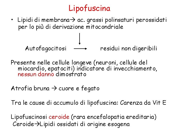 Lipofuscina • Lipidi di membrana ac. grassi polinsaturi perossidati per lo più di derivazione