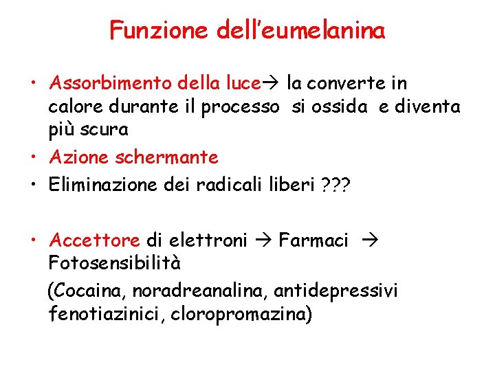 Funzione dell’eumelanina • Assorbimento della luce la converte in calore durante il processo si