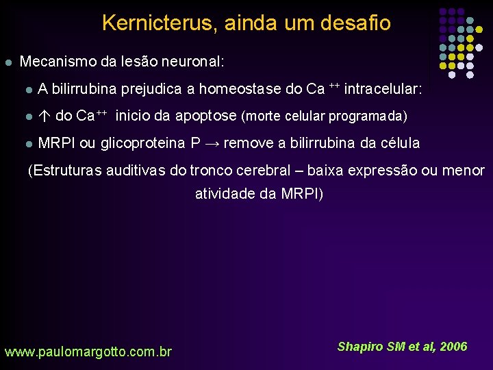 Kernicterus, ainda um desafio l Mecanismo da lesão neuronal: l A bilirrubina prejudica a