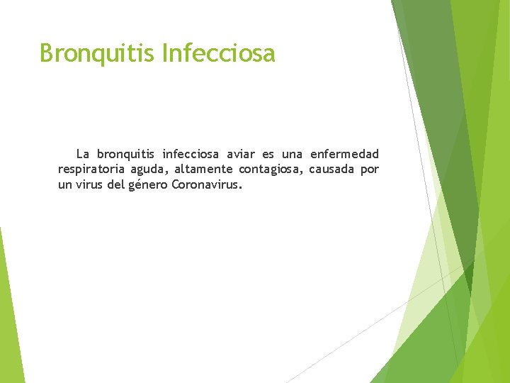 Bronquitis Infecciosa La bronquitis infecciosa aviar es una enfermedad respiratoria aguda, altamente contagiosa, causada