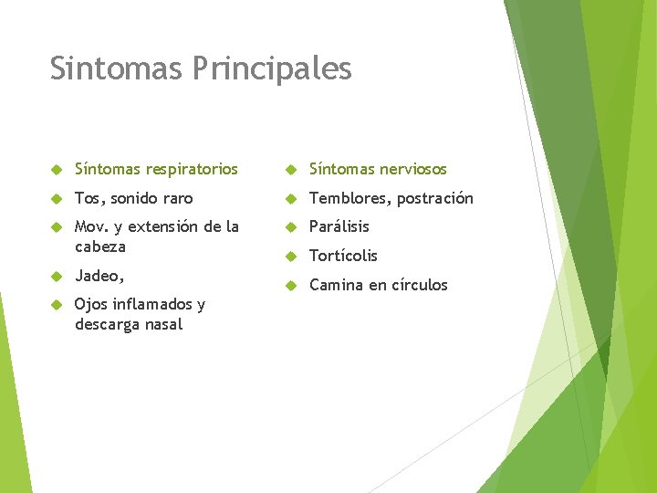 Sintomas Principales Síntomas respiratorios Síntomas nerviosos Tos, sonido raro Temblores, postración Mov. y extensión