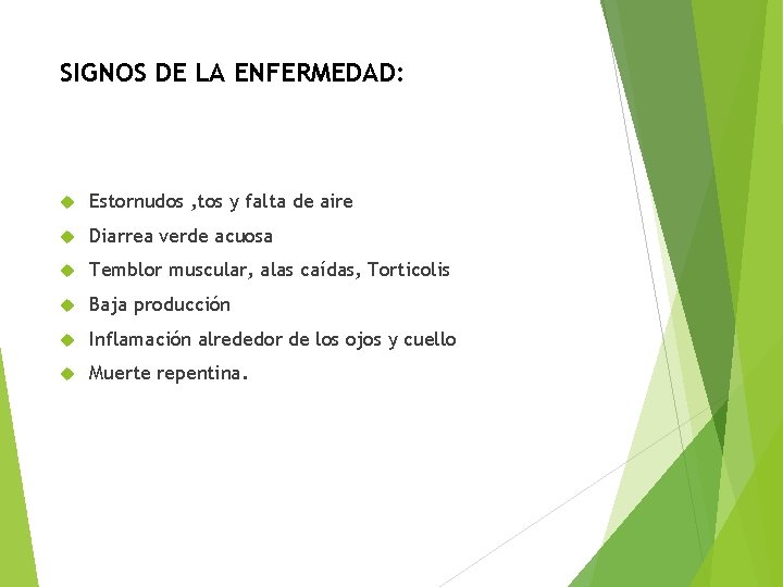 SIGNOS DE LA ENFERMEDAD: Estornudos , tos y falta de aire Diarrea verde acuosa