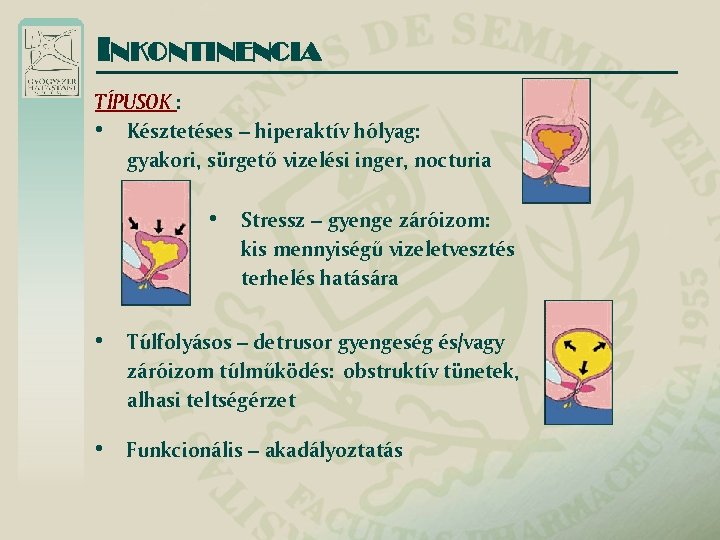 késztetéses inkontinencia tünetei)
