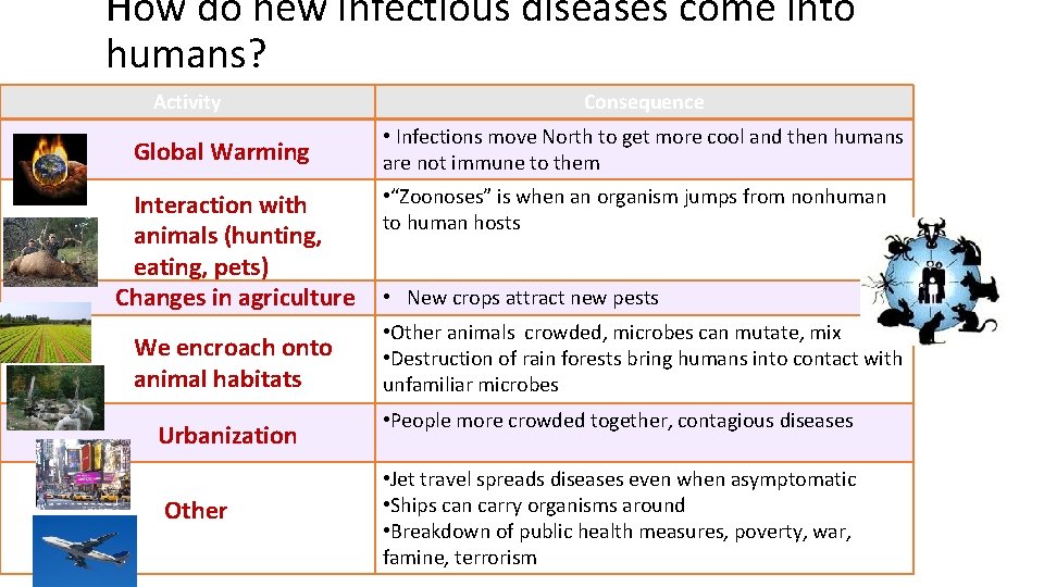 How do new infectious diseases come into humans? Activity Global Warming Interaction with animals