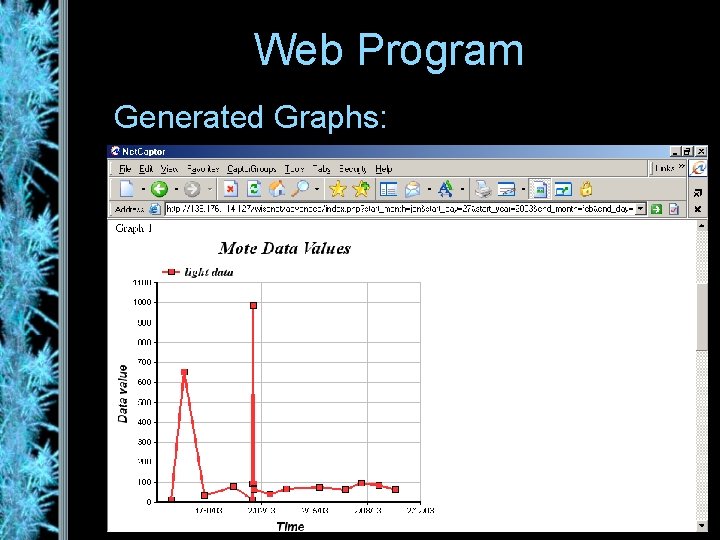 Web Program Generated Graphs: 