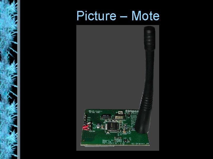 Picture – Mote 