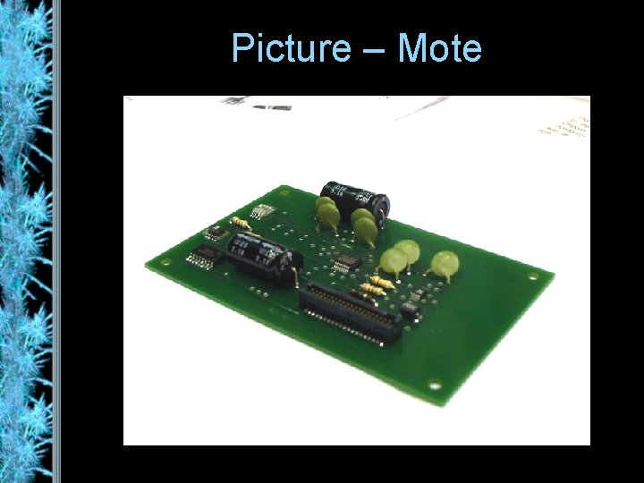 Picture – Mote 