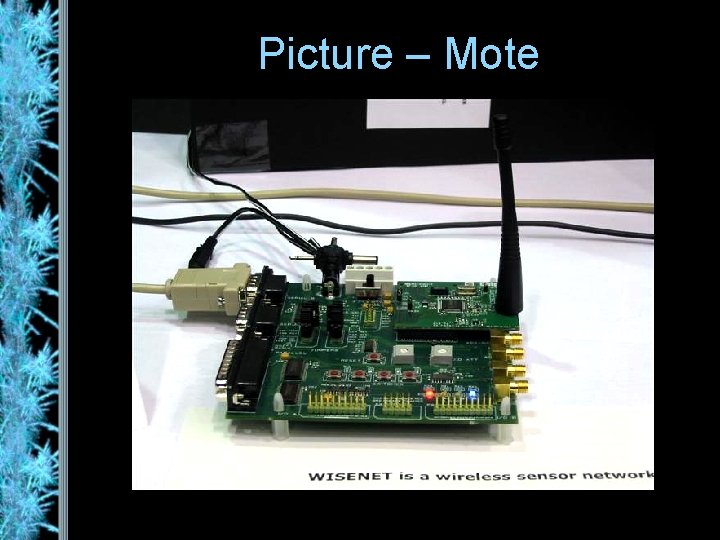 Picture – Mote 