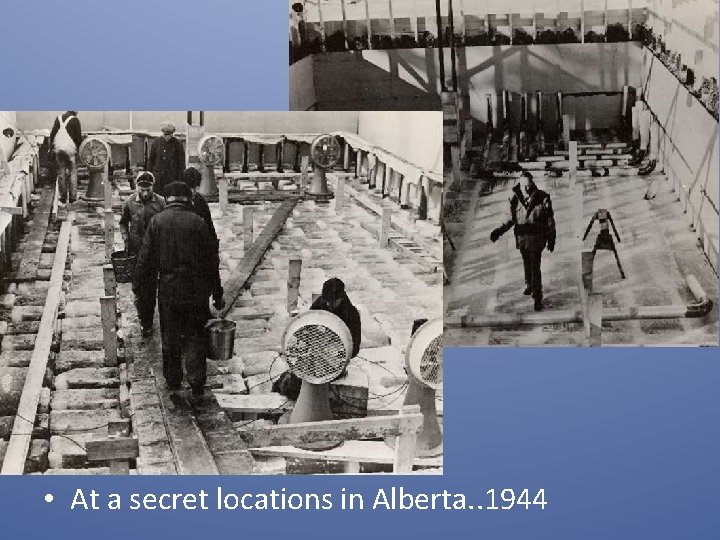  • At a secret locations in Alberta. . 1944 