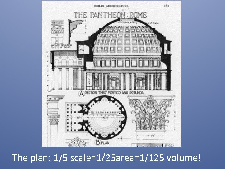 The plan: 1/5 scale=1/25 area=1/125 volume! 