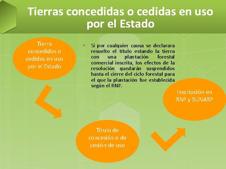 Tierras concedidas o cedidas en uso por el Estado Tierra concedidas o cedidas en