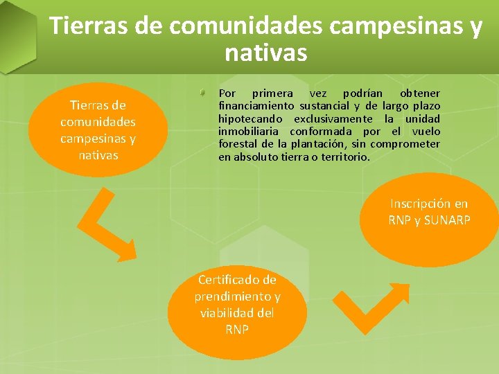 Tierras de comunidades campesinas y nativas Por primera vez podrían obtener financiamiento sustancial y
