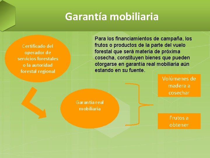 Garantía mobiliaria Certificado del operador de servicios forestales o la autoridad forestal regional Para