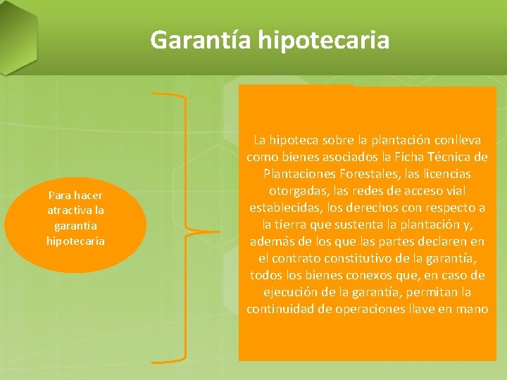 Garantía hipotecaria Para hacer atractiva la garantía hipotecaria Ficha técnica de plantaciones forestales La