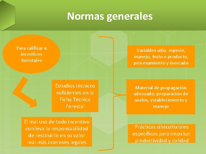 Normas generales Para calificar a incentivos forestales Variables sitio, especie, manejo, fruto o producto,