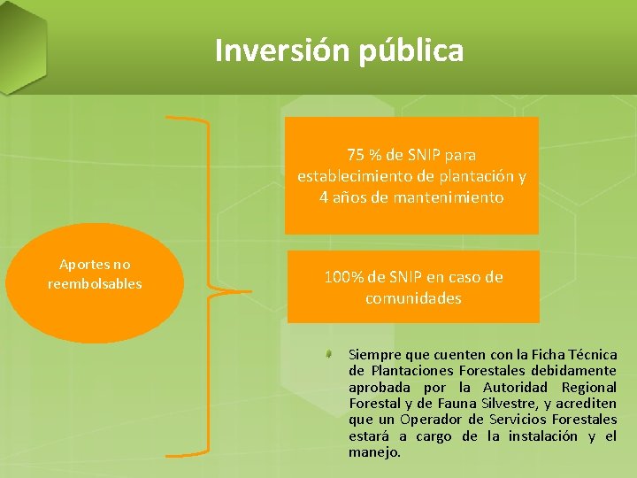 Inversión pública 75 % de SNIP para establecimiento de plantación y 4 años de