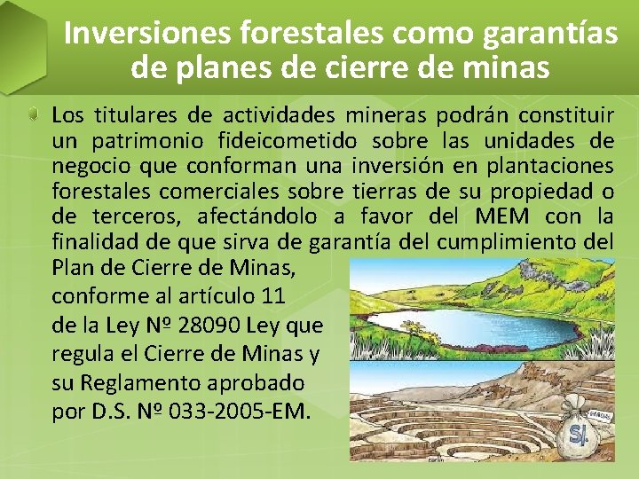 Inversiones forestales como garantías de planes de cierre de minas Los titulares de actividades