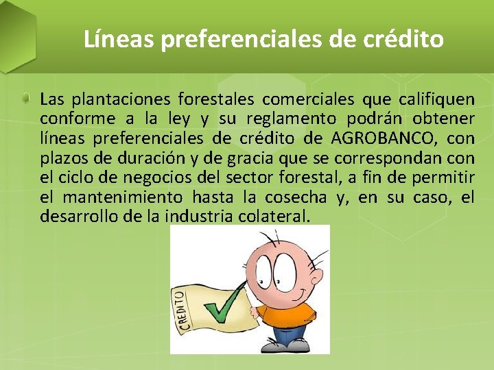 Líneas preferenciales de crédito Las plantaciones forestales comerciales que califiquen conforme a la ley