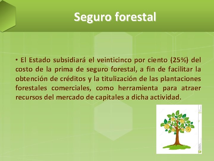 Seguro forestal • El Estado subsidiará el veinticinco por ciento (25%) del costo de