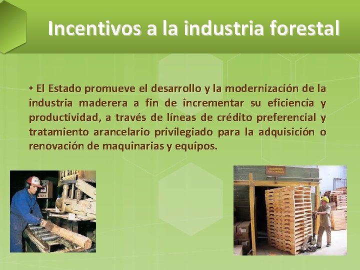 Incentivos a la industria forestal • El Estado promueve el desarrollo y la modernización