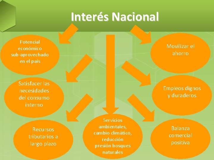 Interés Nacional Potencial económico sub-aprovechado en el país Movilizar el ahorro Satisfacer las necesidades