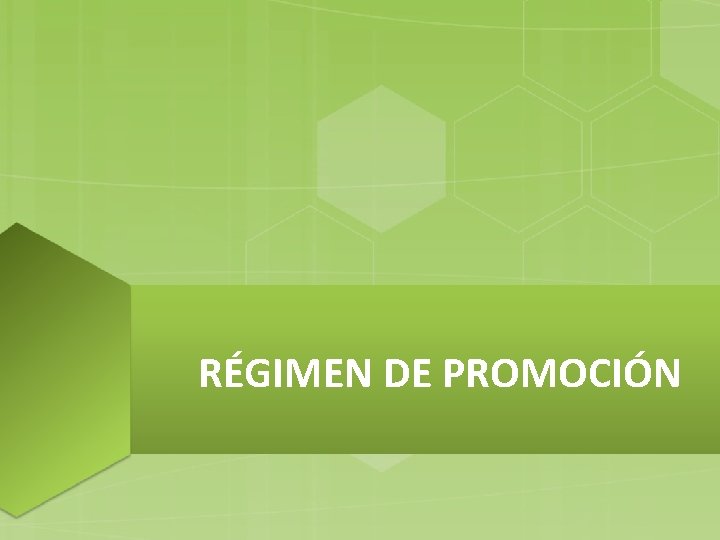 RÉGIMEN DE PROMOCIÓN 