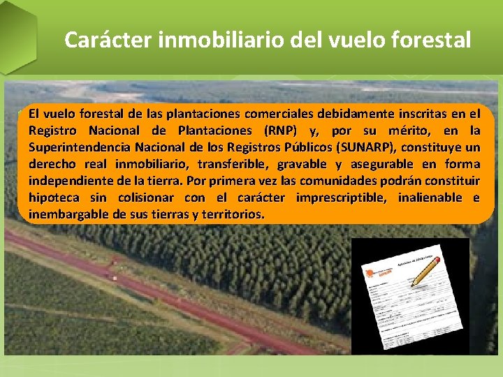 Carácter inmobiliario del vuelo forestal El. Evuelo forestal de lasde plantaciones comerciales debidamente inscritas