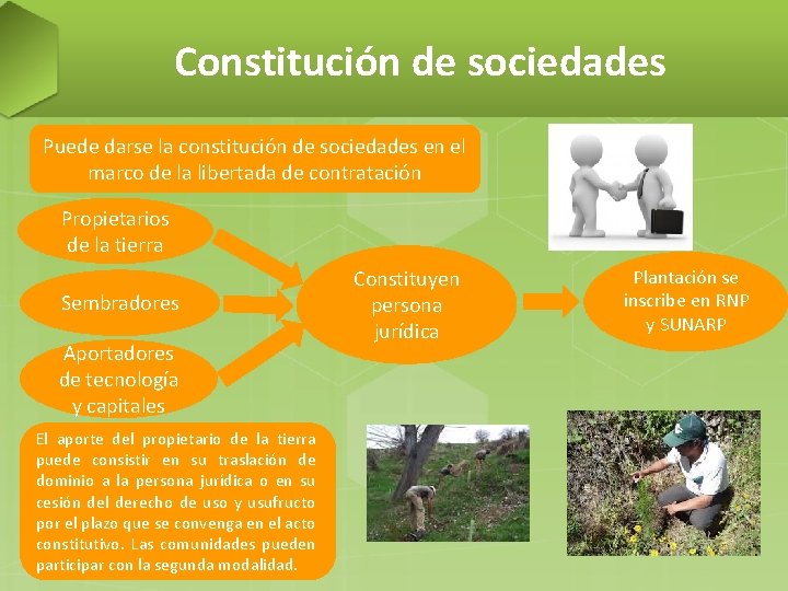 Constitución de sociedades Puede darse la constitución de sociedades en el marco de la