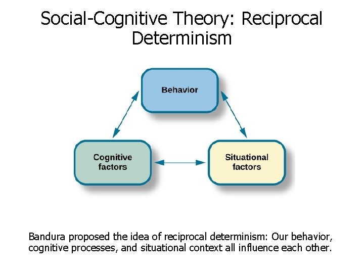 Social-Cognitive Theory: Reciprocal Determinism Bandura proposed the idea of reciprocal determinism: Our behavior, cognitive