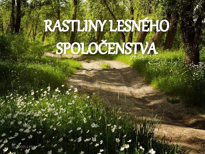 RASTLINY LESNÉHO SPOLOČENSTVA 11. 3. 2021 13: 56 