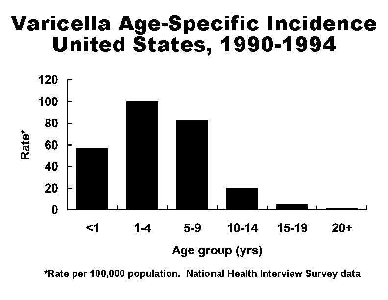 Varicella Age-Specific Incidence United States, 1990 -1994 *Rate per 100, 000 population. National Health