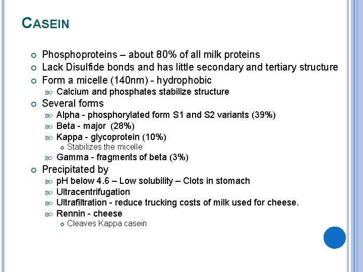 CASEIN Phosphoproteins – about 80% of all milk proteins Lack Disulfide bonds and has
