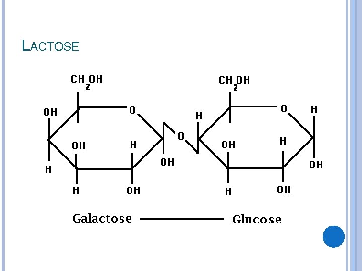 LACTOSE 