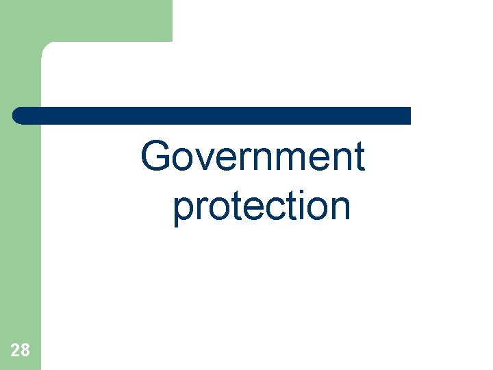 Government protection 28 