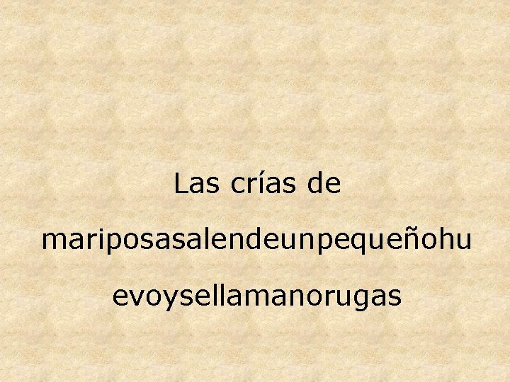 Las crías de mariposasalendeunpequeñohu evoysellamanorugas 