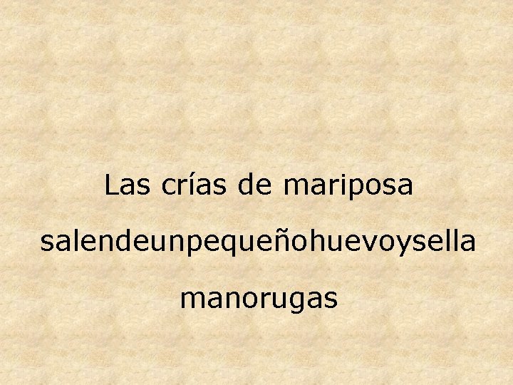 Las crías de mariposa salendeunpequeñohuevoysella manorugas 