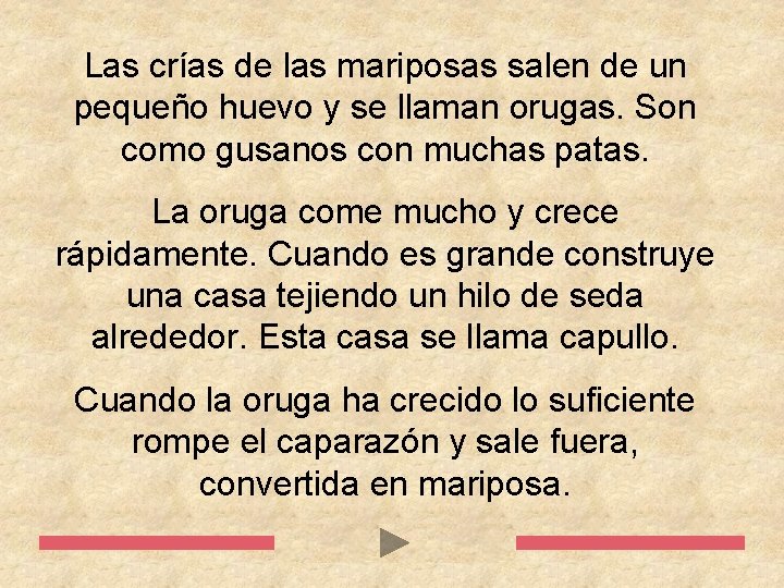 Las crías de las mariposas salen de un pequeño huevo y se llaman orugas.