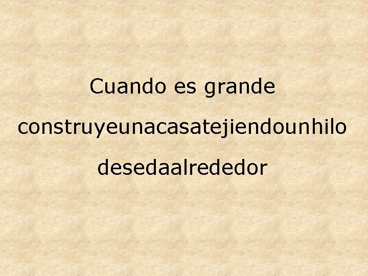 Cuando es grande construyeunacasatejiendounhilo desedaalrededor 