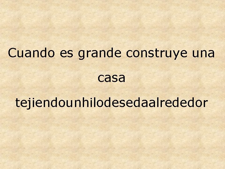 Cuando es grande construye una casa tejiendounhilodesedaalrededor 