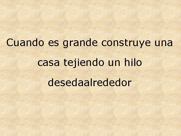 Cuando es grande construye una casa tejiendo un hilo desedaalrededor 