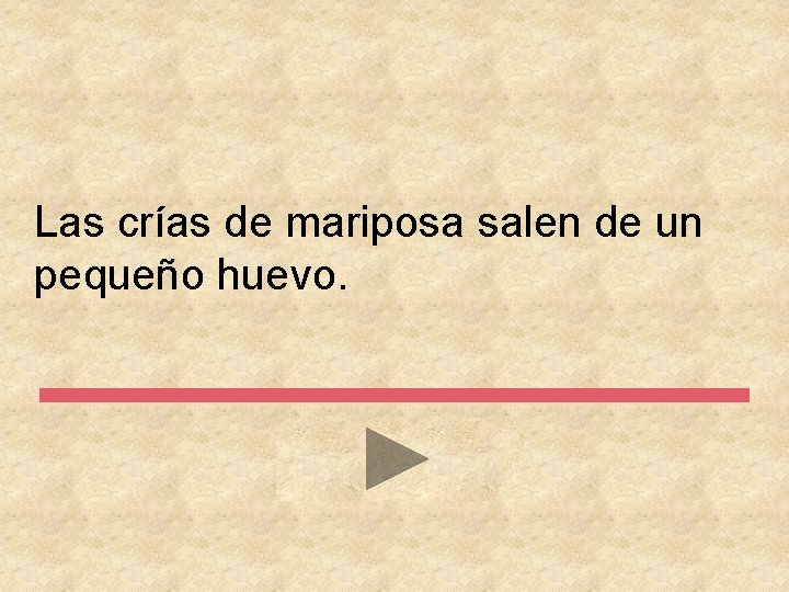 Las crías de mariposa salen de un pequeño huevo. 