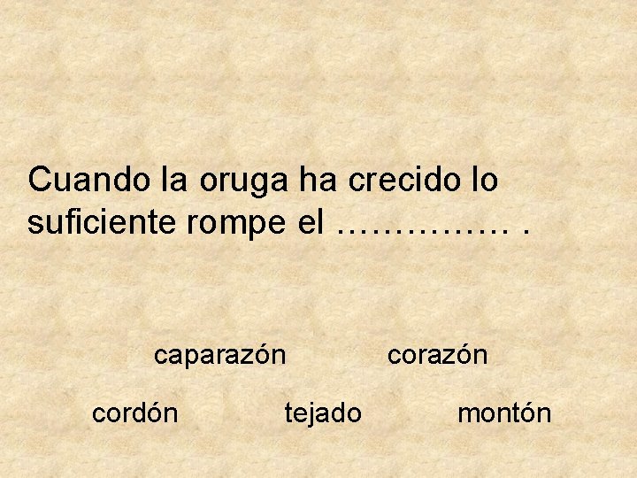 Cuando la oruga ha crecido lo suficiente rompe el ……………. caparazón cordón tejado corazón