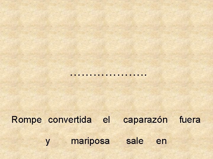 ………………. . Rompe convertida y el mariposa caparazón sale en fuera 