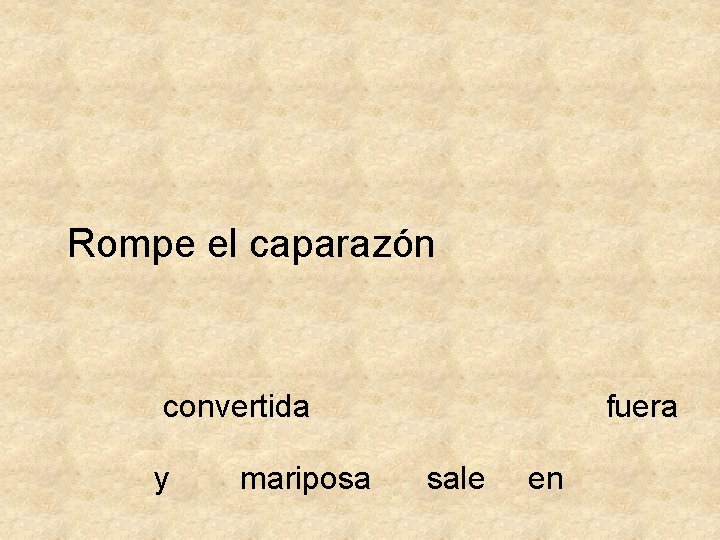 Rompe el caparazón convertida y mariposa fuera sale en 