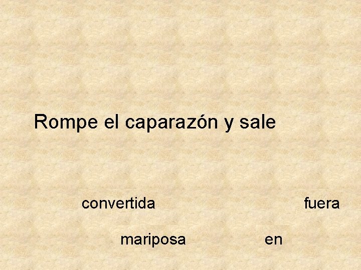 Rompe el caparazón y sale convertida mariposa fuera en 