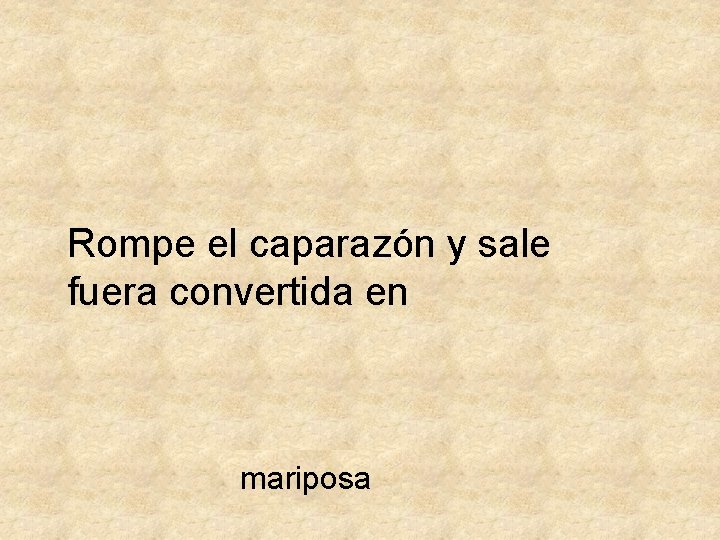 Rompe el caparazón y sale fuera convertida en mariposa 