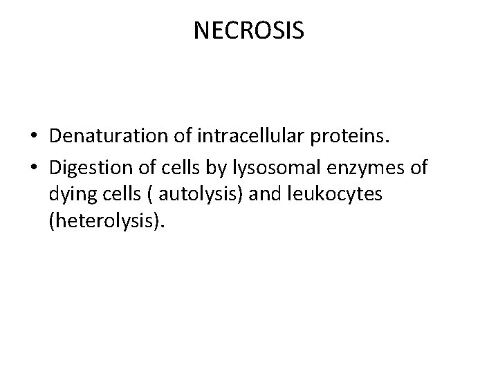 NECROSIS • Denaturation of intracellular proteins. • Digestion of cells by lysosomal enzymes of